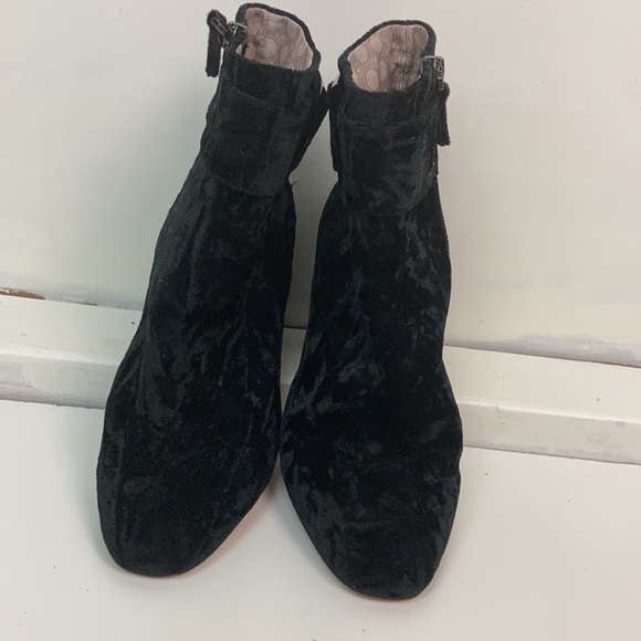 Louise et Cie black velvet buckle booties with side zip. - Picture 2 of 5